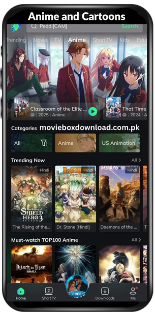 Anime and Cartoons